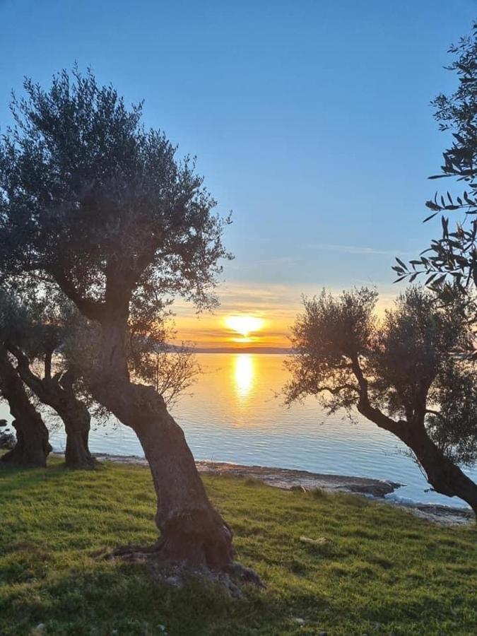 Casa Vacanza Gargano Carpino Buitenkant foto